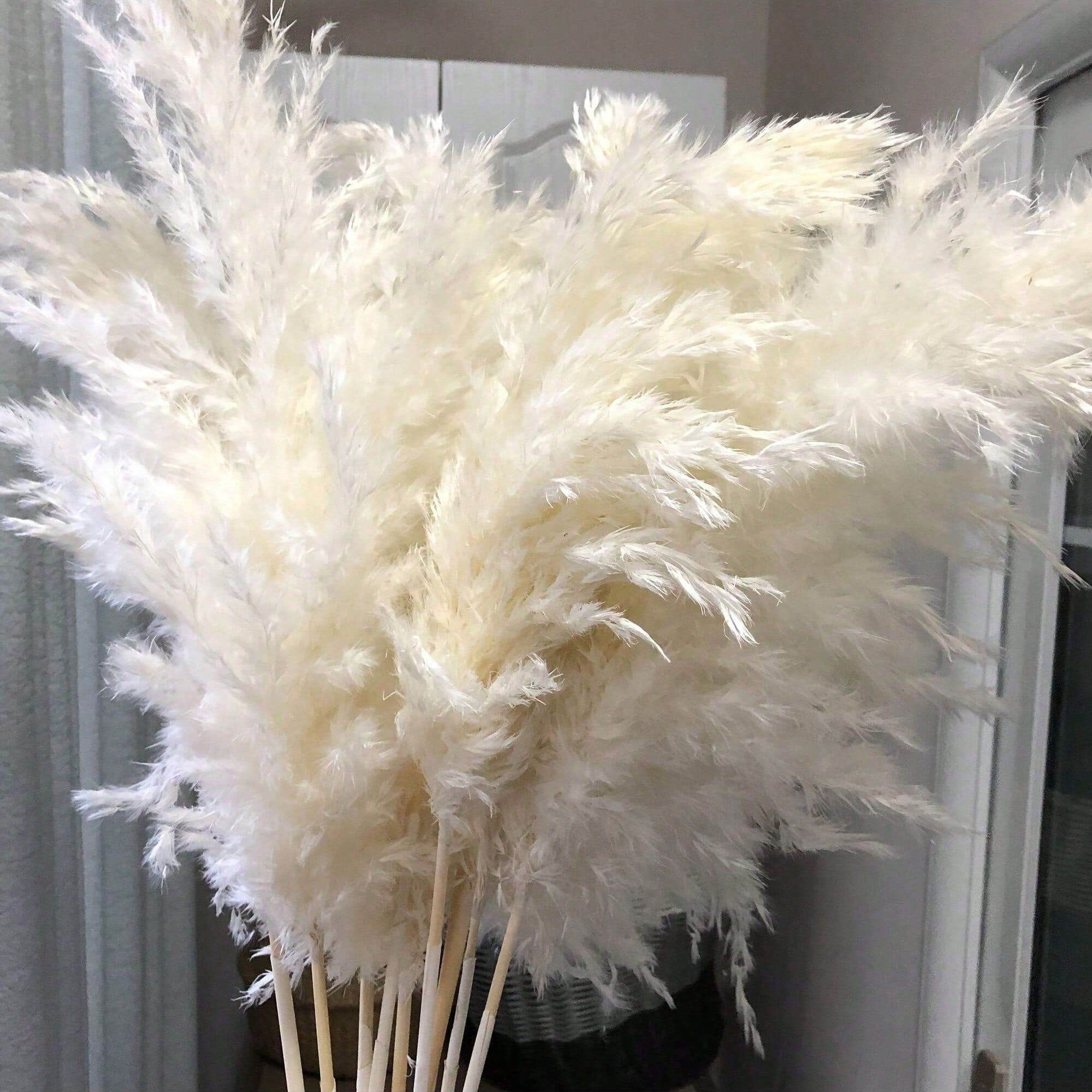 Art Craft Vase - 10/20/30 stuks wit kunstmatig pampasgras decor