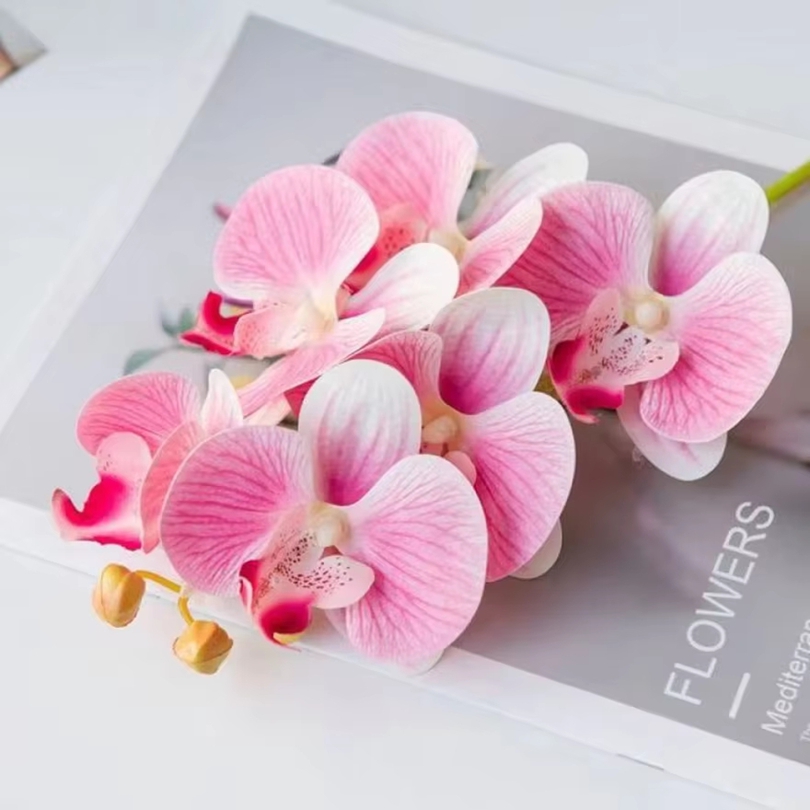 3D Kunstbloemen Plastic Vlinde - Art Craft Vase recensie en prijs
