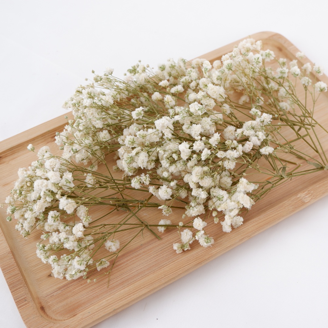 Gedroogde bloemen Witte Mini G - Art Craft Vase recensie en prijs