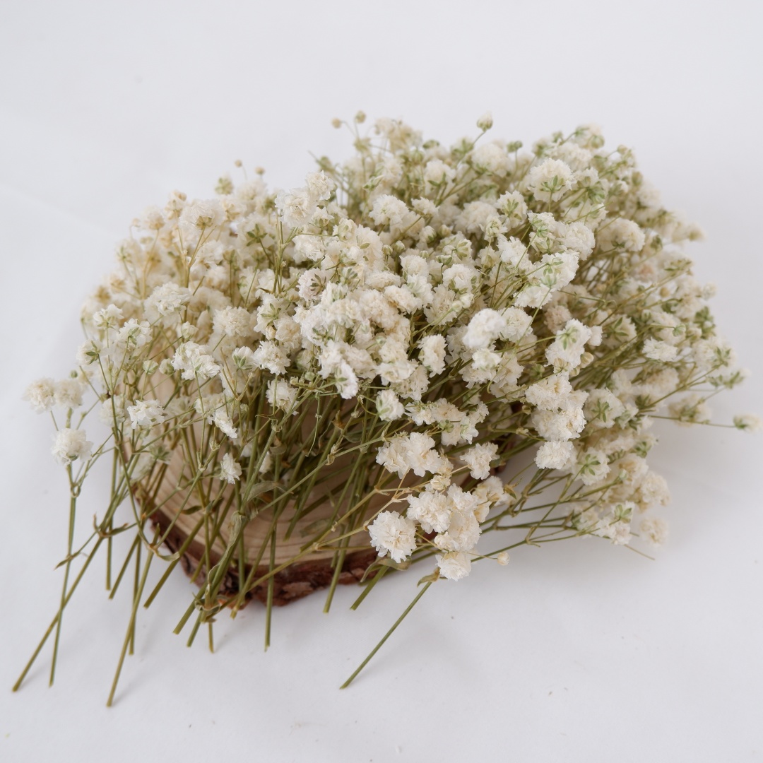 Gedroogde bloemen Witte Mini G - Art Craft Vase recensie en prijs