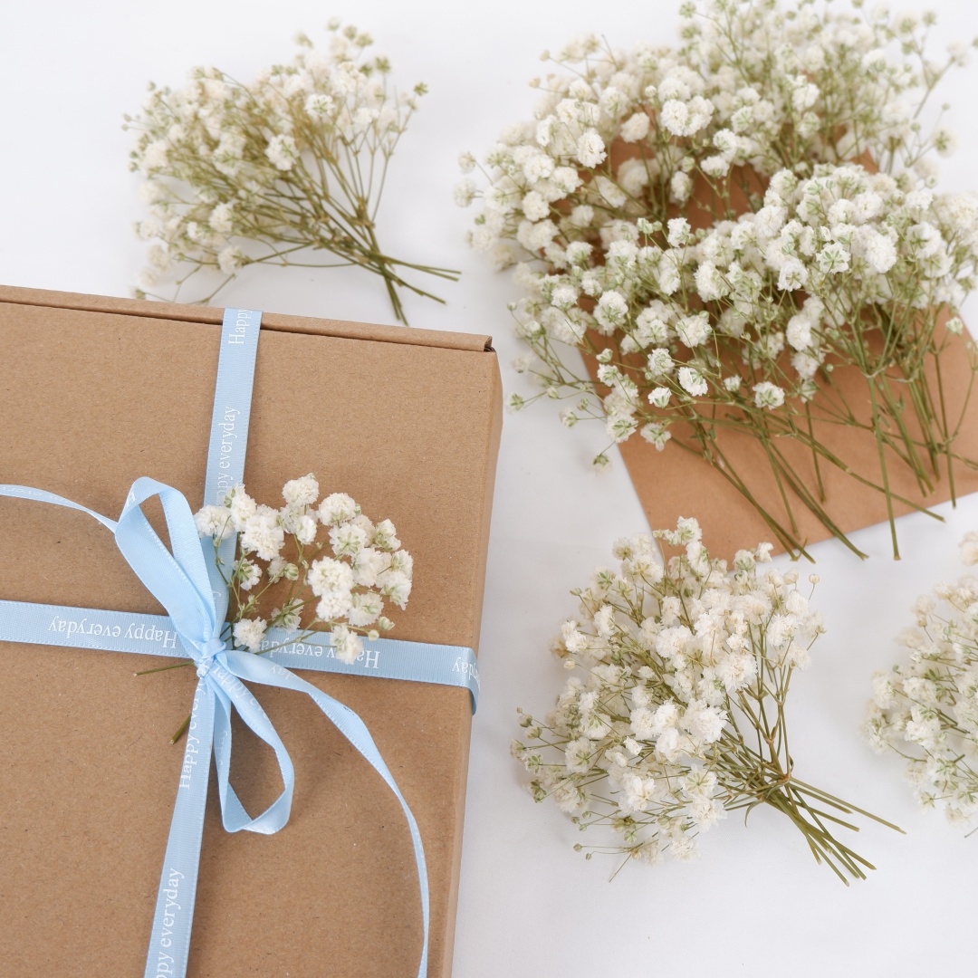 Gedroogde bloemen Witte Mini G - Art Craft Vase recensie en prijs