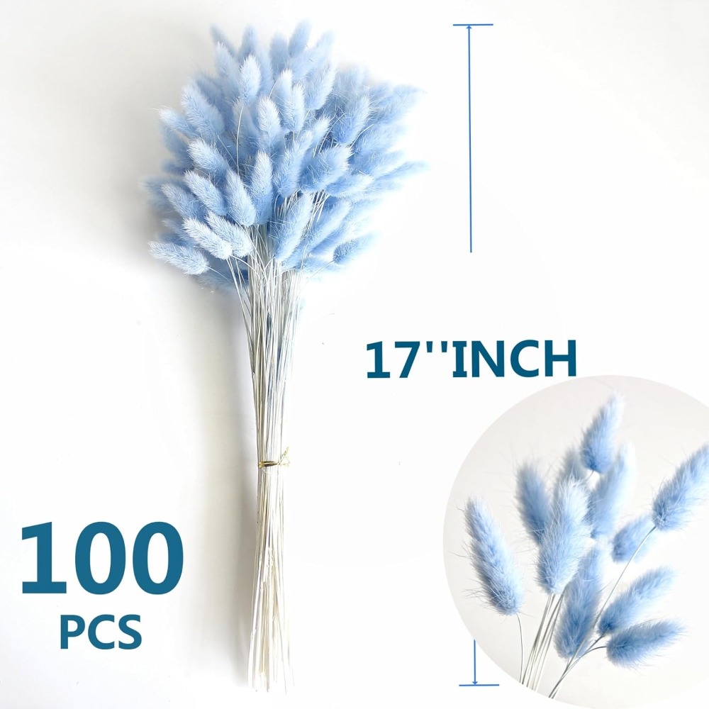 100 STKS Blauw Haas-staart Gra - Art Craft Vase recensie en prijs
