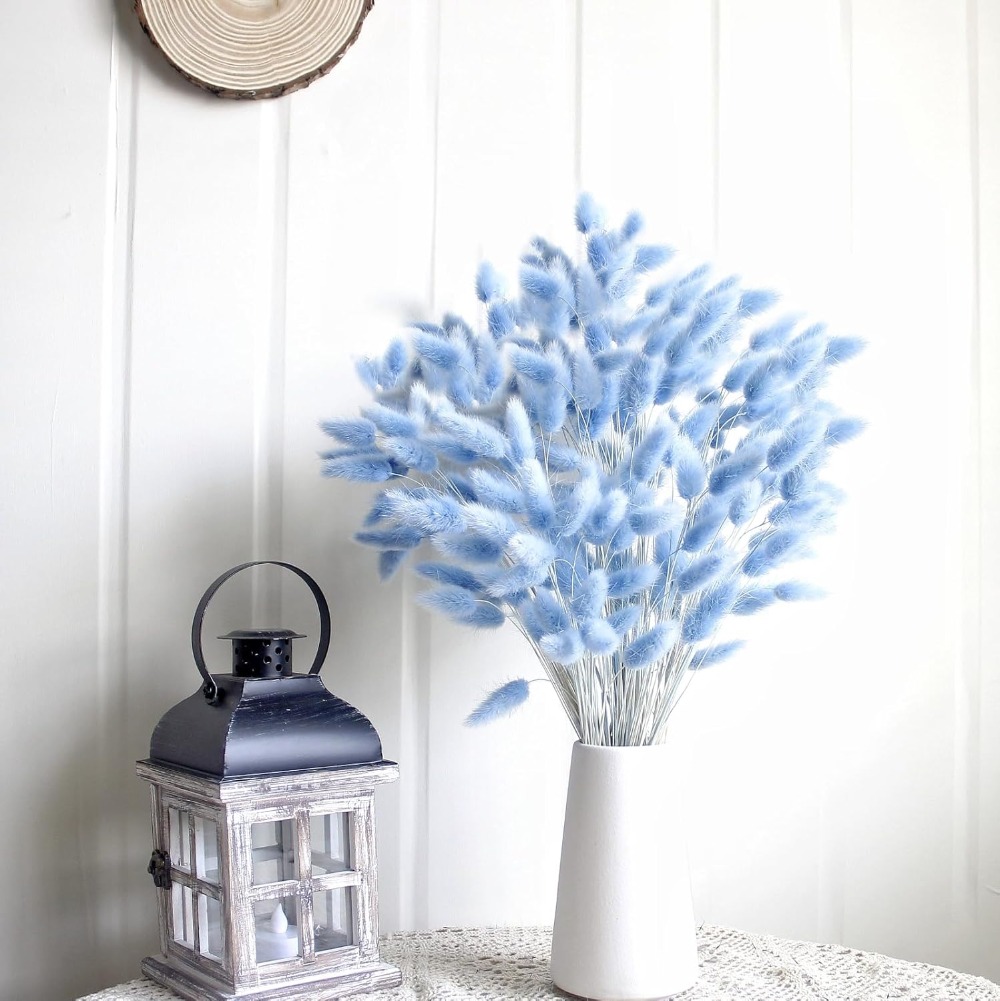 100 STKS Blauw Haas-staart Gra - Art Craft Vase recensie en prijs