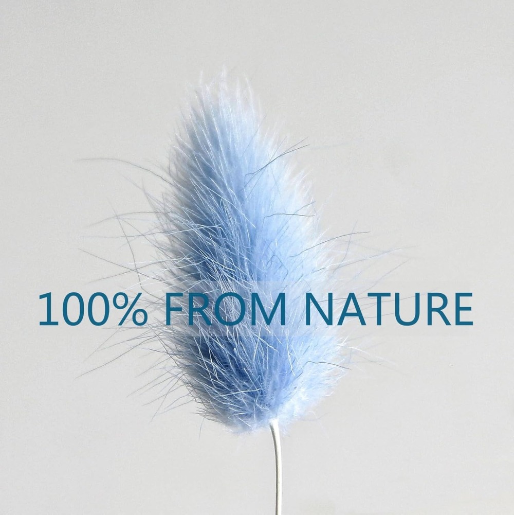 100 STKS Blauw Haas-staart Gra - Art Craft Vase recensie en prijs